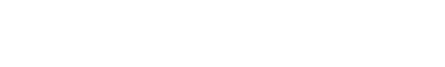 GOYZUETA TRAINER